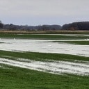 Zwanenmeer Zwanenmeer
