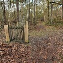 Veehekjes in Vilsteren Veehekjes in Vilsteren