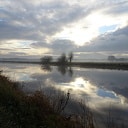 Trekpleister Bellingeweer Trekpleister Bellingeweer