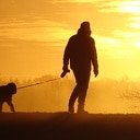 Vorst en mist Bellingeweer Vorst en mist Bellingeweer