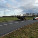 Ja, dat is toch ook genieten