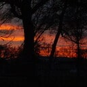 Avondrood