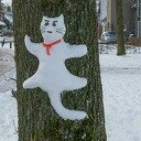 De Siberische sneeuwkat in Dalfsen De Siberische sneeuwkat in Dalfsen