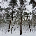 Sneeuw
