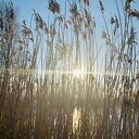 Veel ingezonden foto’s