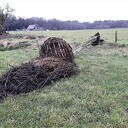 Ooievaarsnest Zwarteweg Hoonhorst ingestort 