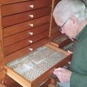 Vlindercollectie Ab Goutbeek naar Naturalis Vlindercollectie Ab Goutbeek naar Naturalis
