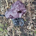 Doe mee, houd Dalfsen schoon Doe mee, houd Dalfsen schoon