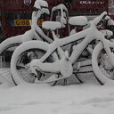 Sneeuwplaatjes Sneeuwplaatjes