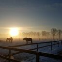 Zonsopgang Oudleusen