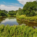 Landschap Overijssel breidt uit met 26 hectare natuur Landschap Overijssel breidt uit met 26 hectare natuur