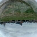 Foto Foto