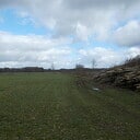 Snoeien aan de Blauwe dijk