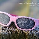 Maandthema MACRO-fotografie