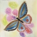 Online creatief de lente in! Online creatief de lente in!