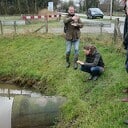 Ottersporen in de Emmertochtsloot bij Hoonhorst Ottersporen in de Emmertochtsloot bij Hoonhorst