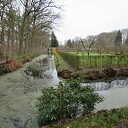 De natuur blijft altijd heel bijzonder