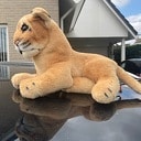 Mooie knuffel gevonden en weer op de plek Mooie knuffel gevonden en weer op de plek