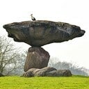 Bezoeker op de steen Bezoeker op de steen