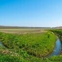 Waterschap zet controle teeltvrije zone voort Waterschap zet controle teeltvrije zone voort