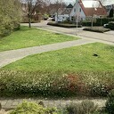 Vervangende dienstplicht Hondenpoep Vervangende dienstplicht Hondenpoep
