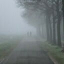 Langs de Vecht, kleine wereld vanmorgen