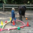 Ponyplezier in de meivakantie Ponyplezier in de meivakantie