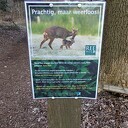 Posters denk aan de reekalfjes Posters denk aan de reekalfjes