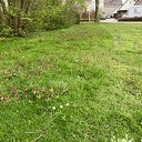 Selectief grasmaaien