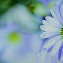 Ingezonden foto’s