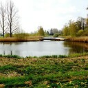 Bellingeweer Bellingeweer