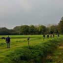 Wandeltocht Vilsteren
