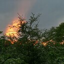 Mooie avondlucht: Kijk en bewonder