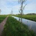 Mooi wandelrondje bij Hoonhorst Mooi wandelrondje bij Hoonhorst