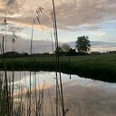 Ga je mee de natuur verkennen in Hoonhorst?