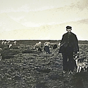 Op de grote stille heide