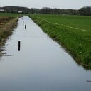 Waarvoor staan toch die palen in de Marswetering