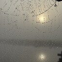 Mistig Dalfsen