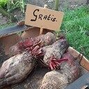De sfeer van Bellingeweer op 10 oktober De sfeer van Bellingeweer op 10 oktober