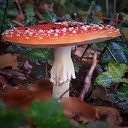 Mooie beelden van onze natuurfotograaf Mooie beelden van onze natuurfotograaf