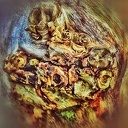Een paar abstracte foto’s Een paar abstracte foto’s