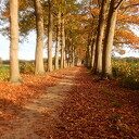 Nog een paar herfstbeelden Nog een paar herfstbeelden