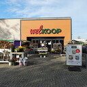 Nog mooie herfstbloemen Nog mooie herfstbloemen