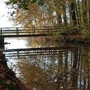 Helmhorst: groene parel tussen Isala en Berkum Helmhorst: groene parel tussen Isala en Berkum