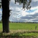 Diverse herfst foto’s Hoonhorst Dalfsen Diverse herfst foto’s Hoonhorst Dalfsen