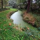 Vanmorgen weer een mooie 2 G wandeling, lang, uitgezet Vanmorgen weer een mooie 2 G wandeling, lang, uitgezet