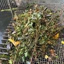 Waterschap heeft last van wegwaaiend snoeiafval Waterschap heeft last van wegwaaiend snoeiafval