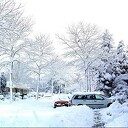 Enorme sneeuw 20 jaar geleden, ook in Dalfsen Enorme sneeuw 20 jaar geleden, ook in Dalfsen