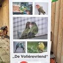 Vogeltentoonstelling Nieuwleusen Vogeltentoonstelling Nieuwleusen