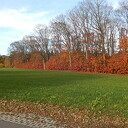 Zie de zon de boel kleuren Zie de zon de boel kleuren